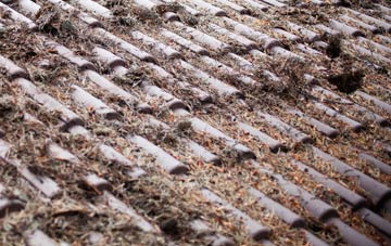 Twynmynydd roof cleaning companies